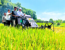 Perkembangan Sektor Pertanian sebagai Penopang Ekonomi Nasional