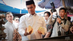 Upaya Pemerintah dalam Menjaga Stabilitas Harga Pangan