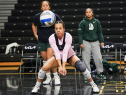 Tren Permainan Voli Modern: Cepat, Dinamis, dan Taktis