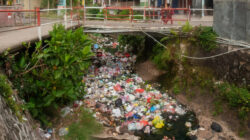 Isu Lingkungan Hidup yang Mendesak di Indonesia, Dari Sampah Plastik hingga Krisis Hutan