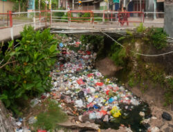 Isu Lingkungan Hidup yang Mendesak di Indonesia, Dari Sampah Plastik hingga Krisis Hutan