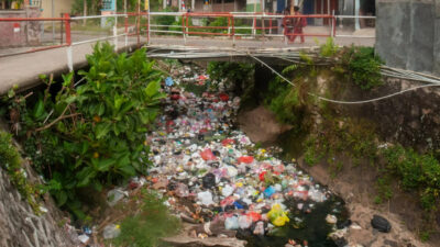 Isu Lingkungan Hidup yang Mendesak di Indonesia, Dari Sampah Plastik hingga Krisis Hutan