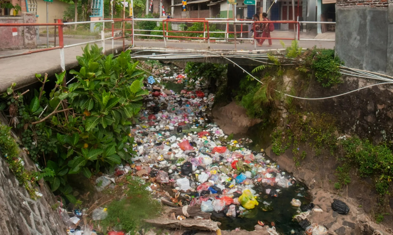 Isu Lingkungan Hidup yang Mendesak di Indonesia, Dari Sampah Plastik hingga Krisis Hutan